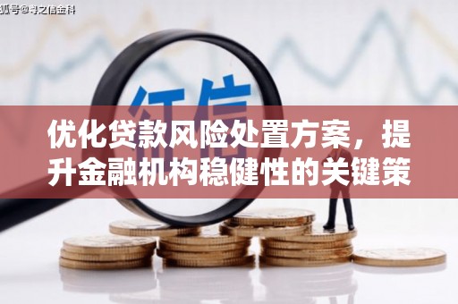 鲁山优化贷款风险处置方案，提升金融机构稳健性的关键策略