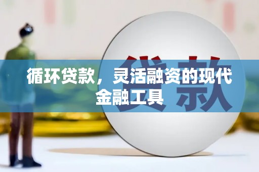 鲁山循环贷款，灵活融资的现代金融工具