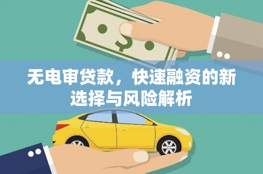 鲁山无电审贷款，快速融资的新选择与风险解析