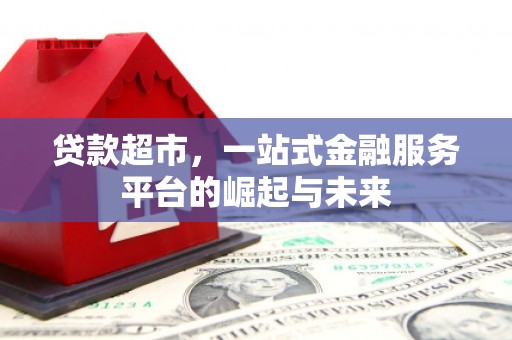 鲁山贷款超市，一站式金融服务平台的崛起与未来