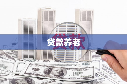 鲁山贷款养老
