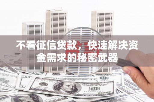 鲁山不看征信贷款，快速解决资金需求的秘密武器