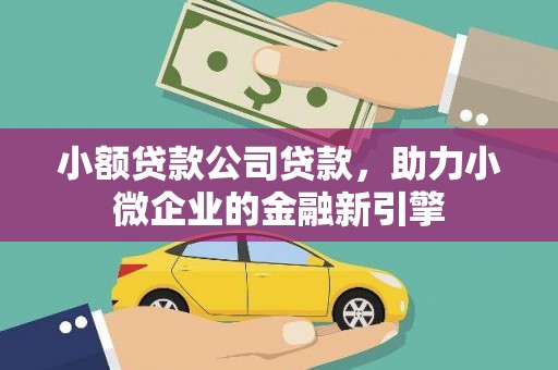 鲁山小额贷款公司贷款，助力小微企业的金融新引擎