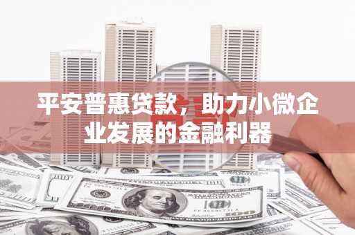 鲁山平安普惠贷款，助力小微企业发展的金融利器