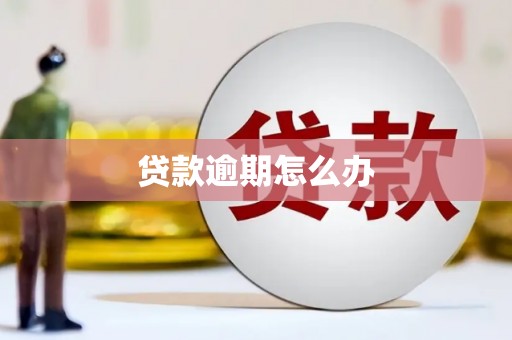 鲁山贷款逾期怎么办