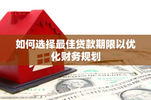 鲁山如何选择最佳贷款期限以优化财务规划