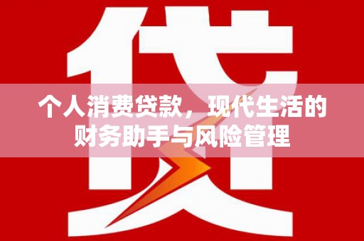 鲁山个人消费贷款，现代生活的财务助手与风险管理