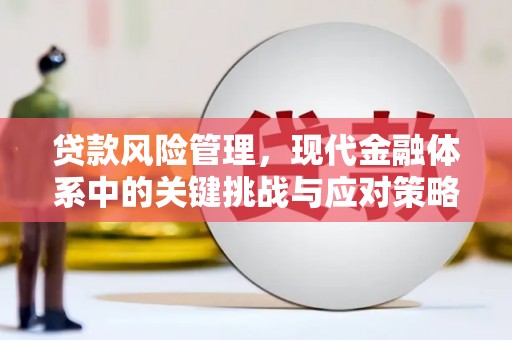 鲁山贷款风险管理，现代金融体系中的关键挑战与应对策略