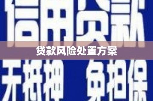 鲁山贷款风险处置方案
