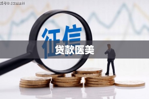 鲁山贷款医美